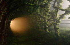 Lime Walk ready for shooting film